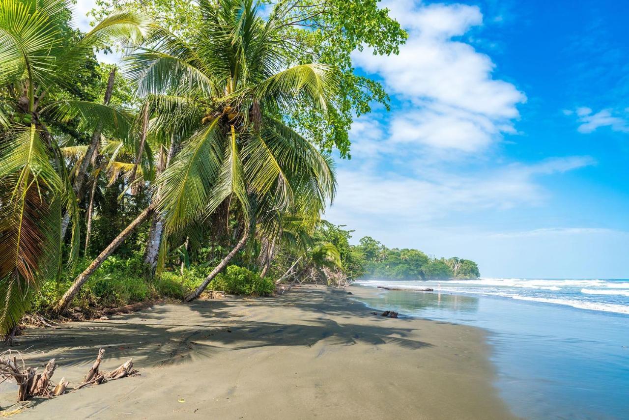 Casa Verde Puerto Viejo de Talamanca Kültér fotó